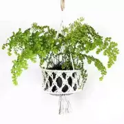 Woven Macrame Basket Plant Hanger - White - hanging basket, hanging pot plant...