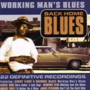 Various Artists-Working Man's Blues-Back Home Blues-CD-Albert King, Z.Z.Hill +