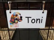 Beagle Head #1 Pop Art Personalized 5" x 2.5" Dog Crate Tag FREE SHIPPING