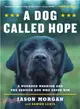 A Dog Called Hope ― A Wounded Warrior and the Service Dog Who Saved Him