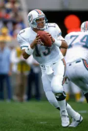 Quarterback Dan Marino Miami Dolphins drops back to pass v T Football 1988 Photo