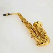 New JAS-700Q Alto Saxophone Brass Gold Lacquer Sax Instrument with Case ---