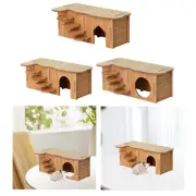 Hamster House Multifunctional with Climbing Ladder for Rat Mouse Small Pet