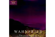 Wahnfried Trance Appeal 2 X Vinyl Records New Music Album