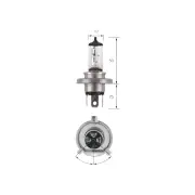 Narva H4 Halogen Globe 12V 60/55W P43T Plus 30 Light for Mercedes benz