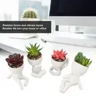 ZIZEV Succulent Plants Pot Decoration Adorable Artificial Succulent Plants Pot