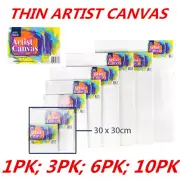 Blank Painting Canvas Artist Stretched White Primer Oil Acrylic Board Frame 3030
