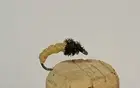 1 Dozen Chamois Caddis Nymph Fishing Flies