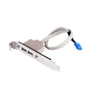 Computer for Case Female Back Panel USB 2.0 9pin Double Wire 0.3 Meters
