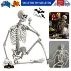 170cm Halloween Poseable Skeleton Full Life Size Human Skeleton Decoration Prop