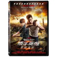 在飛比找蝦皮購物優惠-台聖出品 – 痞子英雄2：黎明再起單碟版 DVD – 由趙又