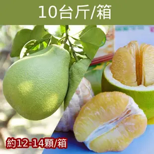 【柚香美地】產銷履歷麻豆文旦(10台斤/箱)(約12-14顆)