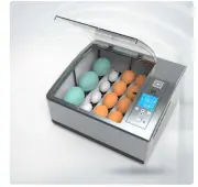 16 Eggs Incubator Brooder Bird Quail Incubator Chick Hatchery