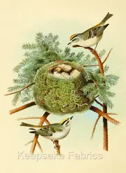 Golden Crown Birds Nest Quilt Block Multi Szs FrEE ShiPPinG WoRld WiDE (14F