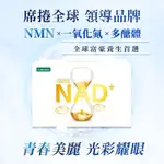 【不賣假貨】IVENOR 最新版 NMN EX版 元氣錠(強效錠) 30粒/盒