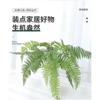 在飛比找蝦皮購物優惠-仿真蕨類擺設新品上市❤️仿真蕨類植物❤️高仿蕨葉 波斯草 植