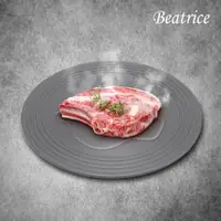 在飛比找松果購物優惠-【Beatrice碧翠絲】多功能節能解凍導熱板 28cm(解