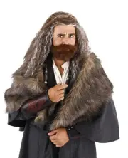 The Hobbit Thorin Oakenshield Costume Beard & Wig Set Adult One Size