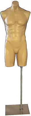 Brand New Male Manequin Mannequin Manikin Torso Form #PS-P908F+BS05( chrome )