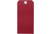 Avery 18110 Shipping Tag Size 8 160x80mm Red Box 1000