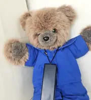 Teddy bear plush tail tourist outfit shoes blue joggers brown stuffed animal