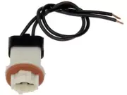 73FN24H Interior Door Light Bulb Socket Fits 1999-2004 Ford F250 Super Duty (for: Ford)