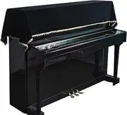 Mooson Upright Piano Cover, Universal Piano Dust Cover, Electric Piano Cover, Light Luxury, Soft Touch, Glossy, Thick, With Star Champagne Lace, High-end, Simple And Beautiful (Black)…