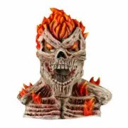 Cosplay Superhero Ghost Rider Mask Skull Flame Mask Halloween Masquerade Props