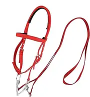 Horse Headstall - Soft Lined Horse Browband,Equine Snaffle Noseband, Adjustable Soft Lined Equestrian Browband for Outdoor Use
