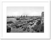 Quay De La Joliette Marseilles France Old BW Framed Wall Art Print