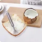 Multi-Purpose Slicer Coconut Shaver Coconut Meat Remover Fish Scaler Grater