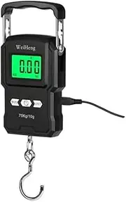 [Generic] Black Electronic Weighing Digital Scale Rechargeable LCD 75Kg 10g Luggage Scale Hanging Hook Fishing Scale with Measuring Tape