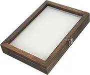 1Set Wall Mounted Insect Display Case Wooden Bug Collection Box with Clear Window for Dried Flowers Jewelry and Specimen Storage and Design