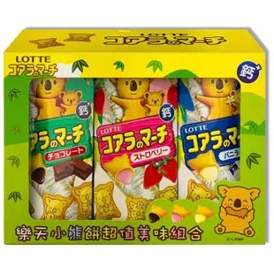 Lotte 樂天小熊餅乾-超值美味組合(37gX3入/盒)[大買家]