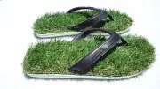 High quality Ultra soft Grass Flip flop Sandal Slipper for men/women Memory foam
