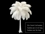 50 Pieces - 12-16" White Ostrich Tail Centerpiece Costume Feathers Wedding Party