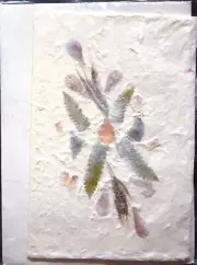 BEAUTIFUL PRESSED FLOWER COMPOSITION HAND MADE CRAFTED PAPER MAILING CARD 4