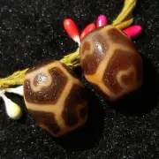 2pcs Antique Magic Old Tibetan Agate *Turtle Lotus* Amulet Dzi Beads C058