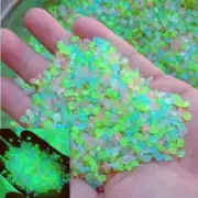 Glow Pebbles Luminous Dark Stones Rocks Garden The Fish Tank Glowing Decor