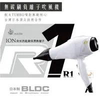 在飛比找蝦皮購物優惠-【嗨咖髮舖】R1 重型吹風機 航太噴射無刷核心 台灣日本合作