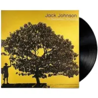 在飛比找露天拍賣優惠-全新 Jack Johnson In Between Dre