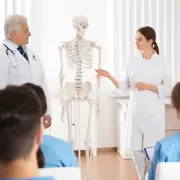 Human Skeleton Anatomical Model 180cm - Medical Anatomy, Life-Size & Full Body