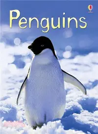 在飛比找三民網路書店優惠-Usborne Beginners: Penguins