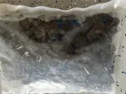 PANDUIT EMS-A-DO /(NEW NO BOX) Qty.500