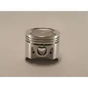Austral Piston Set - PO770 STD