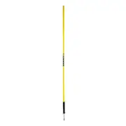 10x Agility Slalom Training Poles with Spike Base