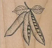 Peas In Pods 2 x 1 3/4" Rubber Stamp, Food and Drink Stamp, Peas Stamp