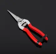 Stainless steel pruning scissors Fruit picking scissors Citrus grape scissors