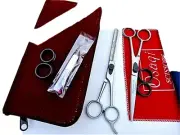 Osaqi TOP 7.5" Hairdressing + Hair Thinning Scissors/Case,comb,oil
