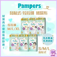 在飛比找蝦皮購物優惠-🍇限時下殺💜 幫寶適 Pampers 一級幫 透氣 拉拉褲 